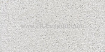 Floor_Tile--Porcelain_Tile,300X600mm,6340