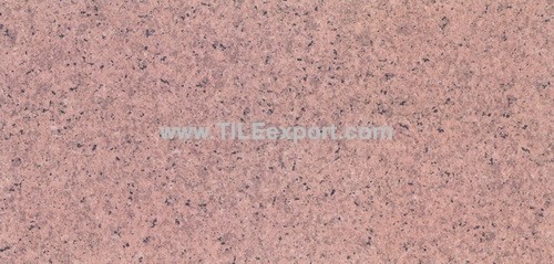 Floor_Tile--Porcelain_Tile,300X600mm,S6371