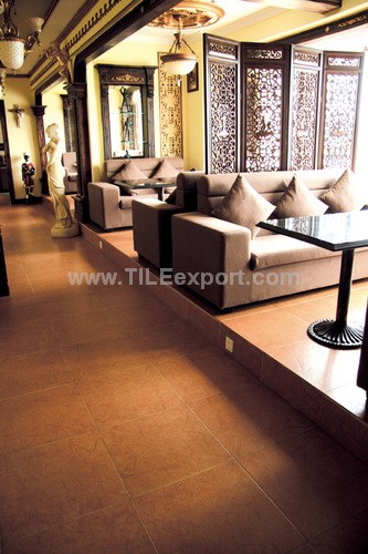 Floor_Tile--Ceramic_Tile,500X500mm,59818_view