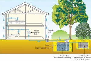 rainwater-harvesting-system