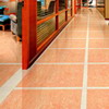 Floor_Tile--Polished_Tile